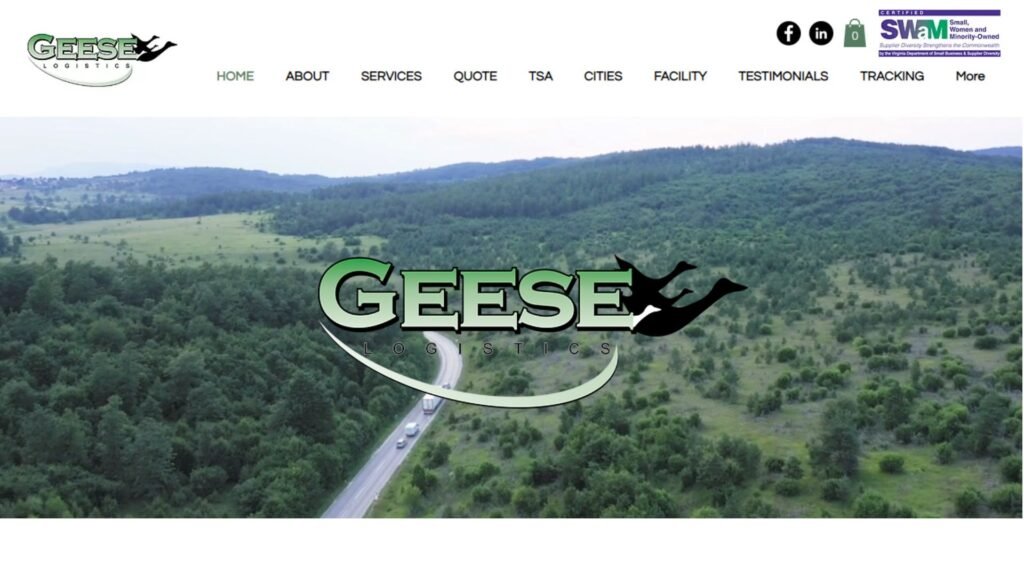 GEESE Logistics .- 弗吉尼亚州