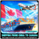 China to Canada Best Freight Forwarder | DDP Customs Cleared Solutions | Sea/Air/Express Multi-Channe
